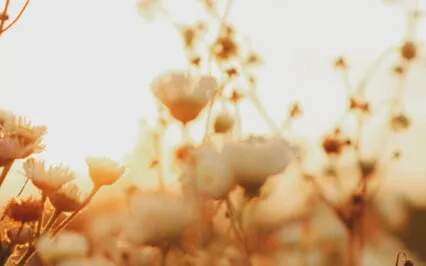 Affirmation - My Well-Being Makes A Difference In This World