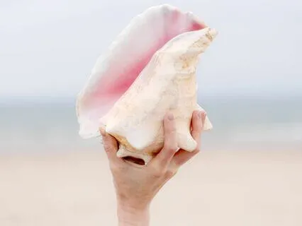 Affirmation, Oracle And Chakra Insights 4 Of 7