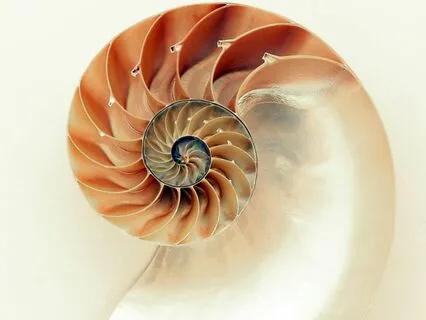 Affirmation, Oracle And Chakra Insights 7 Of 7