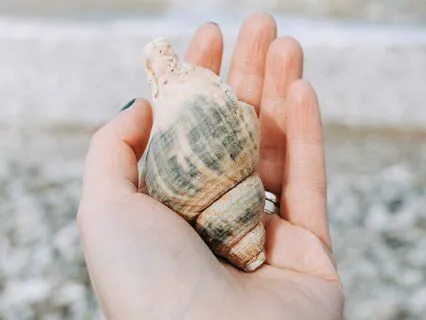 Affirmation, Oracle And Chakra Insights 5 Of 7