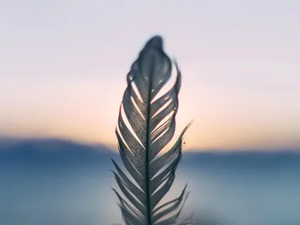 Affirmation Practice For Kindness & Compassion