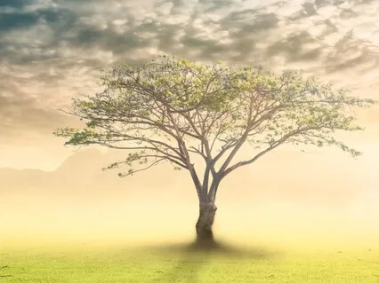 Affirmation Staycation