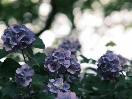 Affirmation Track For Feelings Of Worthiness And Enoughness