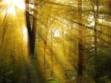 Affirmations: 3. I Am Earth