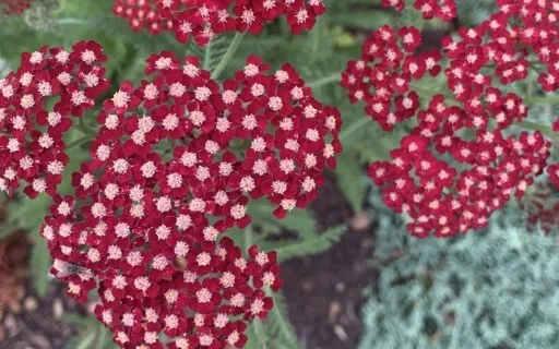 Affirmations And How They Can Help Us