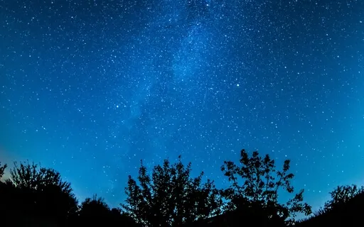 Affirmations & Sleep: Plant A Positive Seed For Your Future