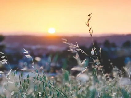 Affirmations And Visualization For Health