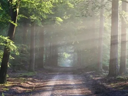 Affirmations As The Natural Mind - Part 6