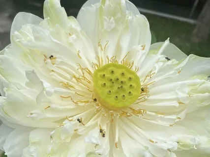 Affirmations Calling In The Energy Of Your Divine Masculine