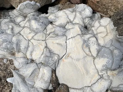 Affirmations: Connect To Self