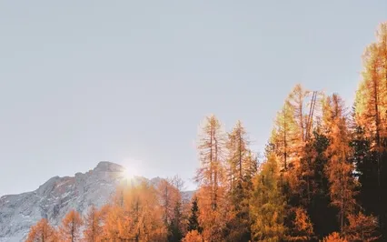 Affirmations: Content Creation + Visibility (Entrepreneurs)