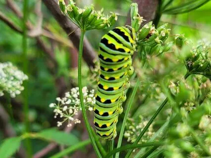 Affirmations For 2023 - Go Out And Love