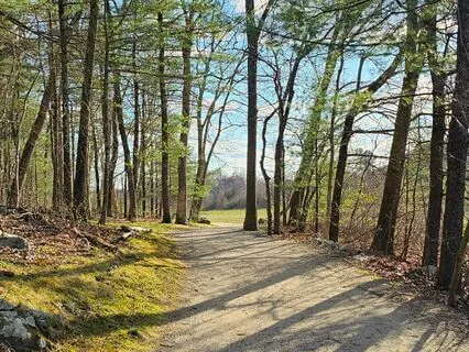 Affirmations For A Beautiful Day