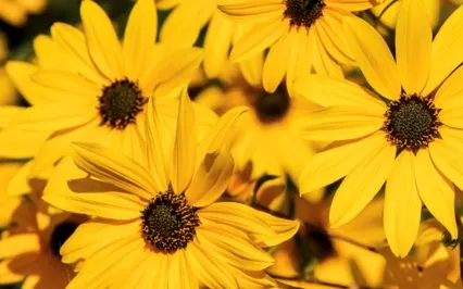 Affirmations For A Bright Blessed 2023 – April Selection