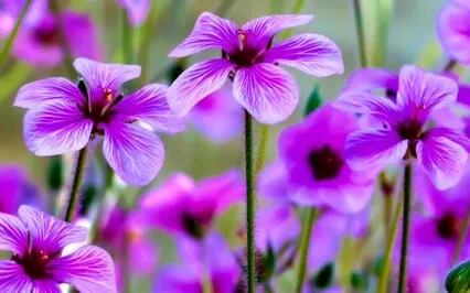 Affirmations For A Bright Blessed 2023 – March Selection