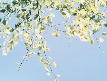 Affirmations For A Difficult Day