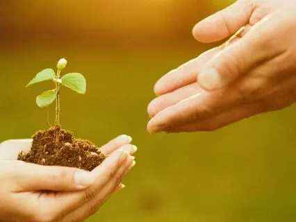 Affirmations For A Growth Mindset