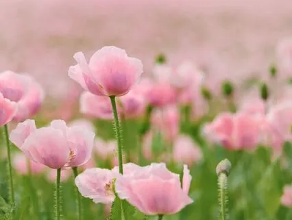 Affirmations For A Healthy Relationship