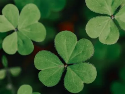 Affirmations For A Lucky Week: Manifest Miracles & Ease