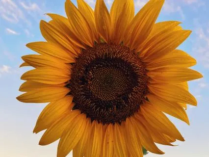 Affirmations For A Positive Day