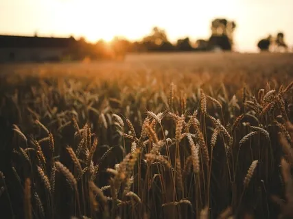 Affirmations For Abundance: Gently Drip-Feeding