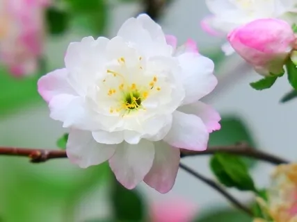 Affirmations For Abundance With Rebecca Whitman