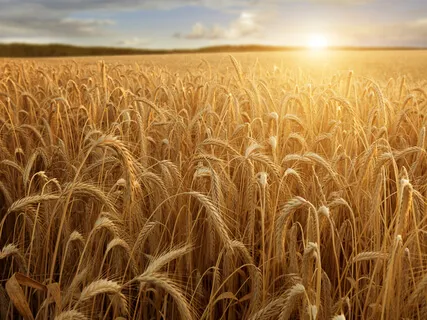 Affirmations For Abundance