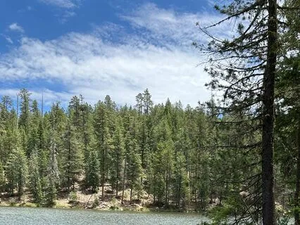 Affirmations For Abundance