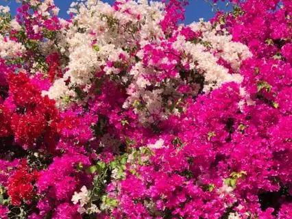 Affirmations For Abundance