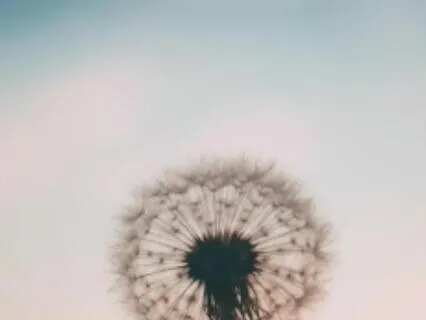 Embracing Acceptance: Affirmations For Inner Harmony