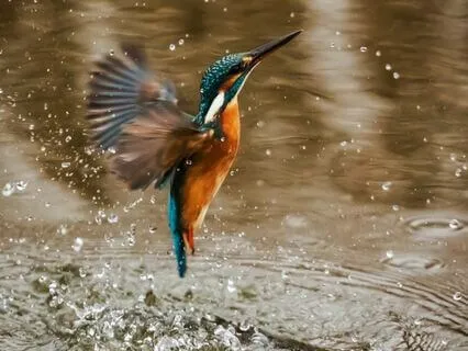 Affirmations For Accepting What Is