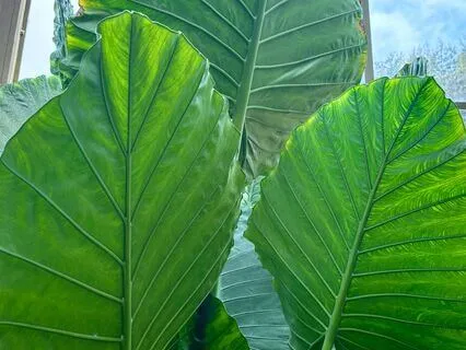 Affirmations For Activating Your Intuition