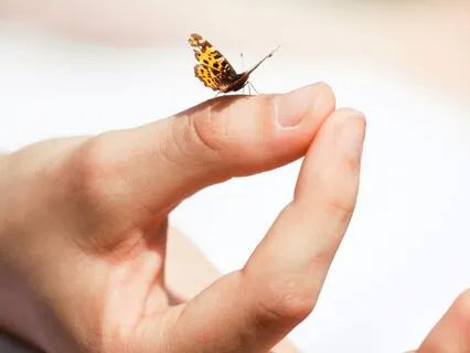 Affirmations For Alignment, Clarity, & Flow