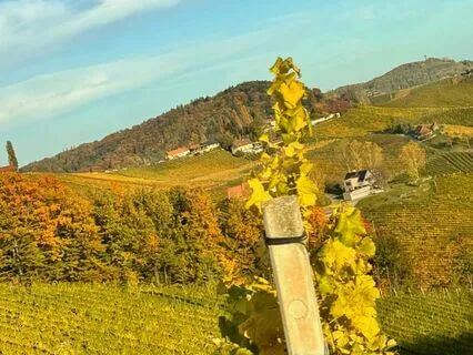 Affirmations For Alignment With Prosperity