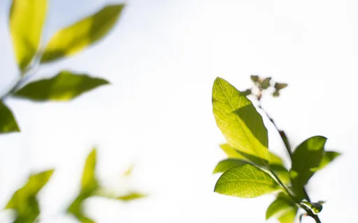 Affirmations For Amazing Health (No Intro)