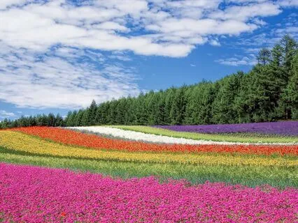 Affirmations For An Abundant Life