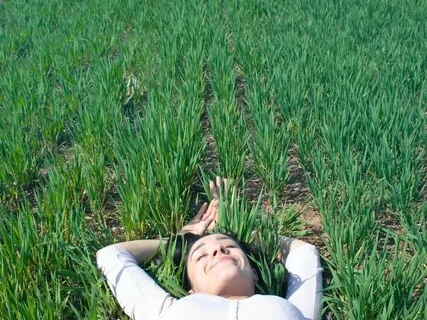 Affirmations For An Incredible Day No Matter What