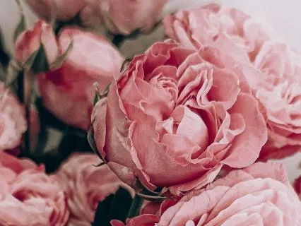Affirmations For Ancestral Healing