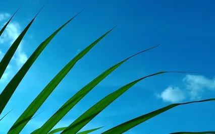 Affirmations For Anxiety