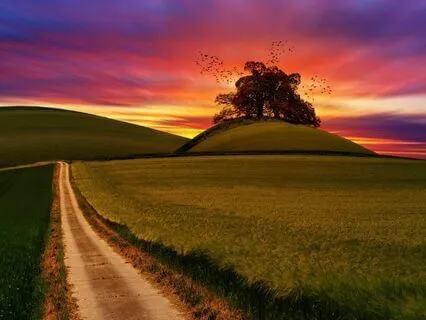 Affirmations For Anxiety Management