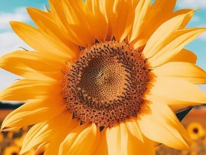 Affirmations For Beauty