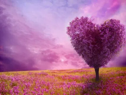 Affirmations for Body Appreciation