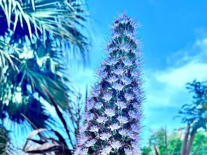 Affirmations For Body Confidence