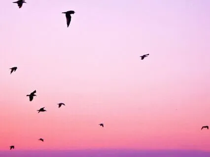 Affirmations For Building Confidence - 12 Minute Version