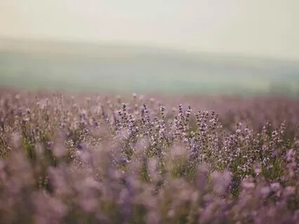 Affirmations For Calming Anxiety