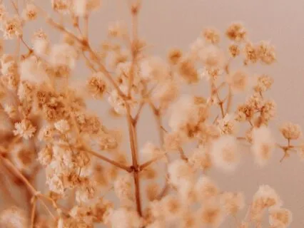 Affirmations For Closure