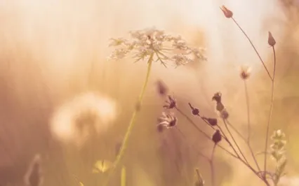 Affirmations For Codependency Recovery