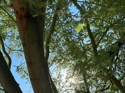 Affirmations For Confidence