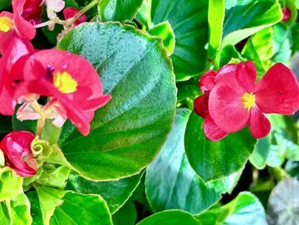 Affirmations For Couples