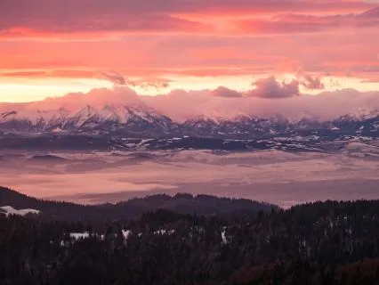 Affirmations For Creating Safety Within